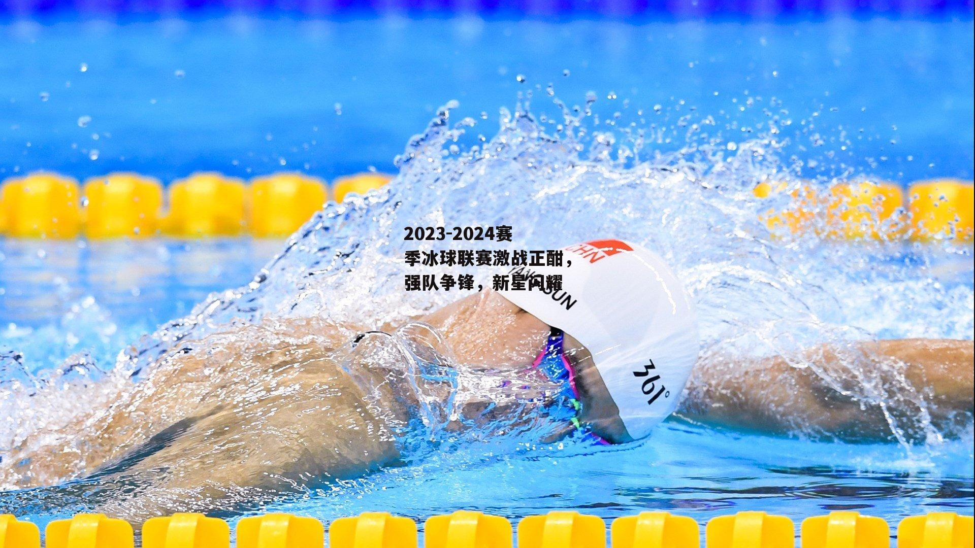 2023-2024赛季冰球联赛激战正酣，强队争锋，新星闪耀