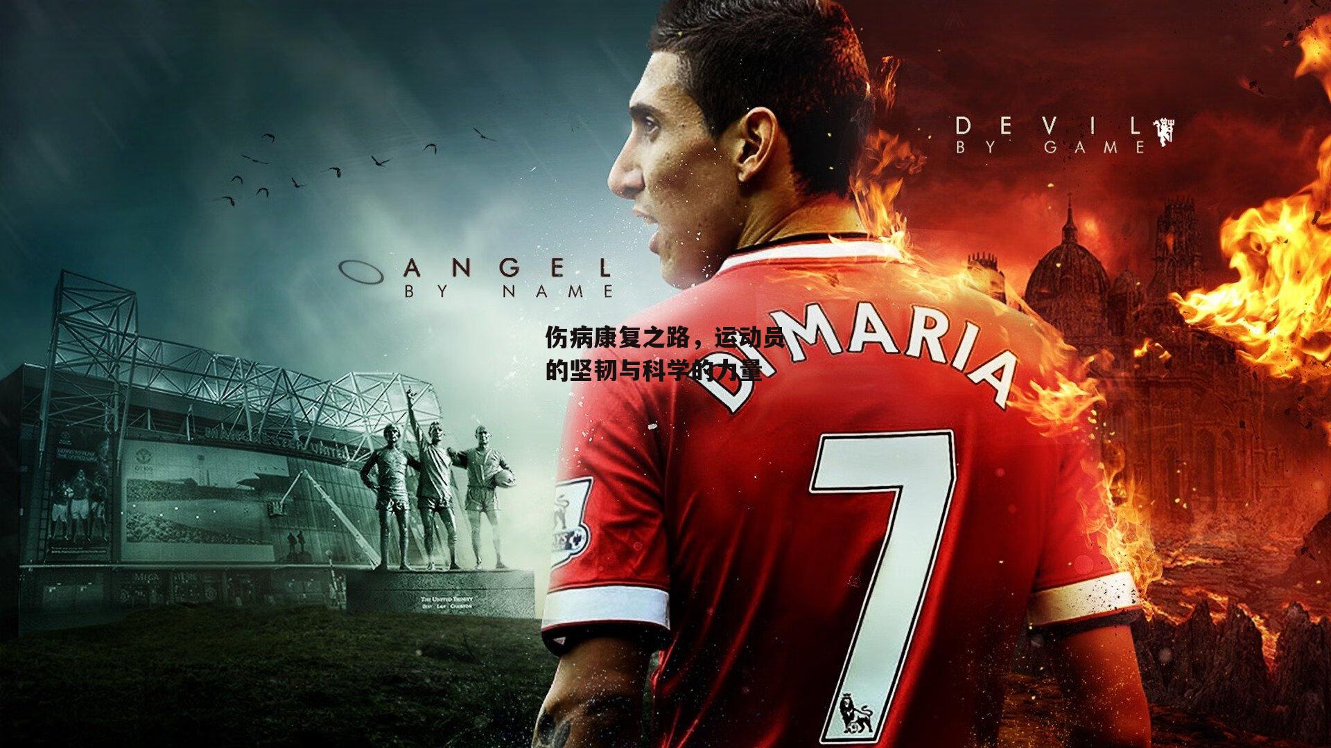 伤病康复之路，运动员的坚韧与科学的力量