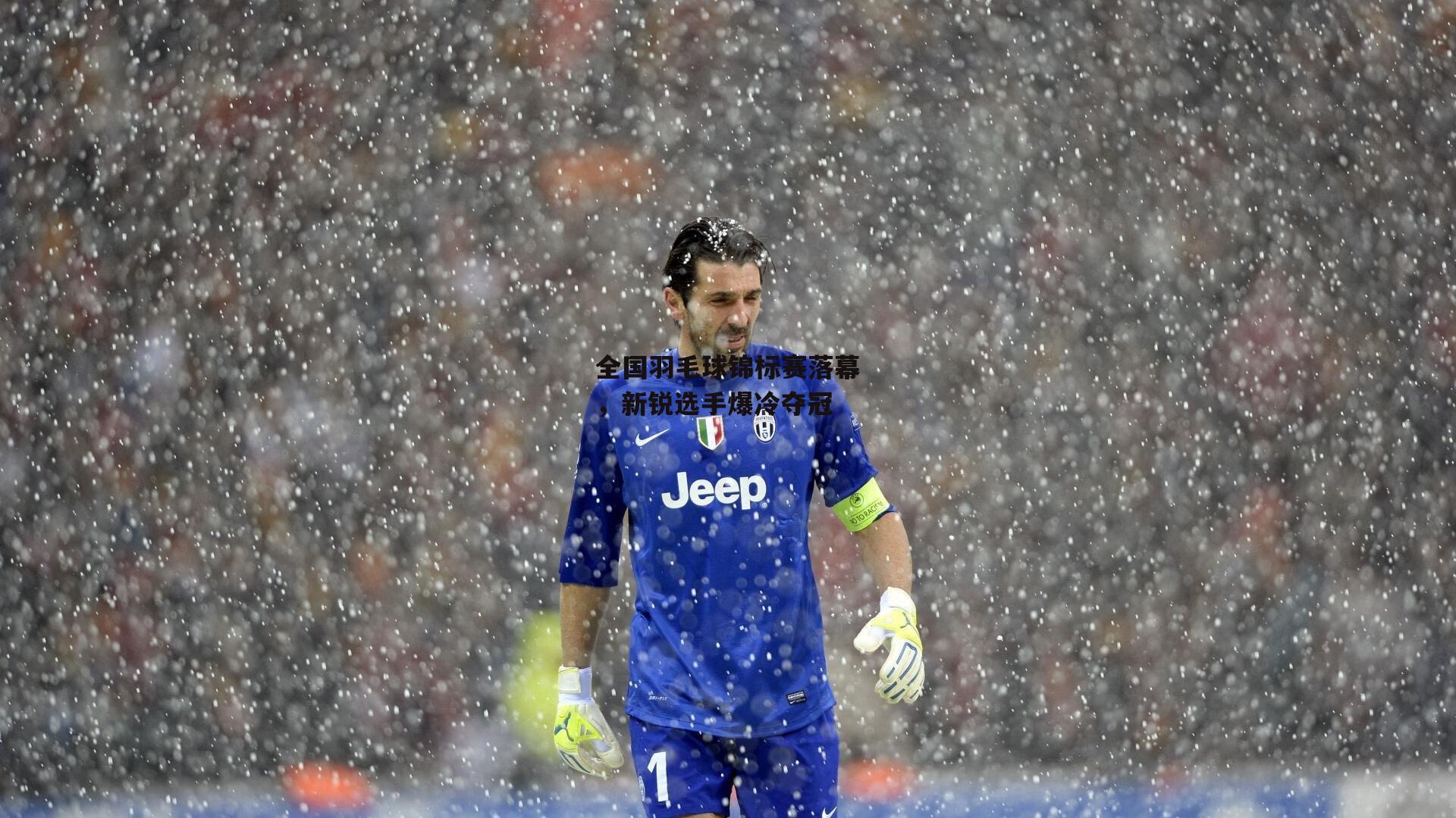 全国羽毛球锦标赛落幕,新锐选手爆冷夺冠