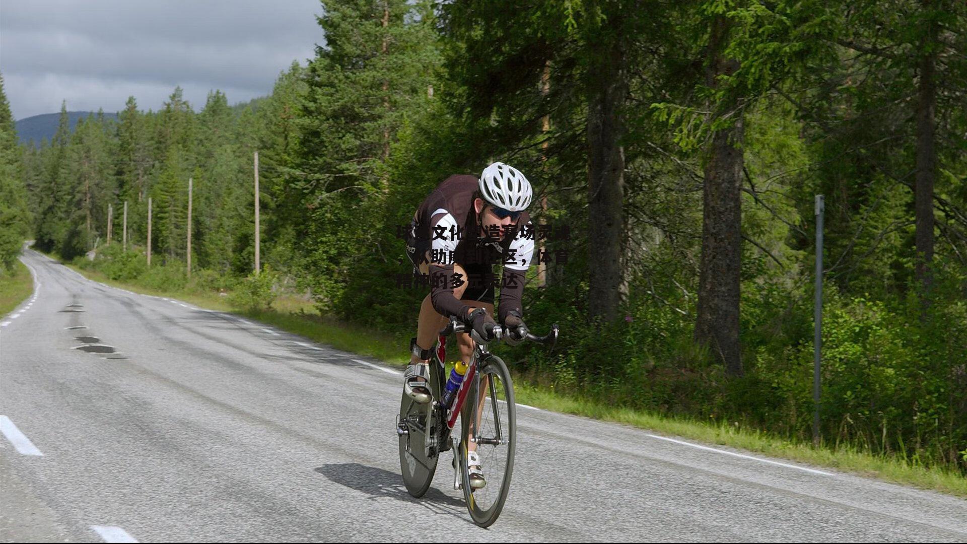 球迷文化塑造赛场灵魂,从助威到社区,体育精神的多元表达